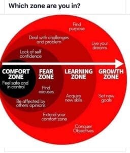 A chart with different zones of issues and points